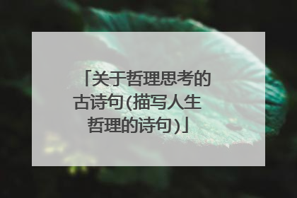 关于哲理思考的古诗句(描写人生哲理的诗句)