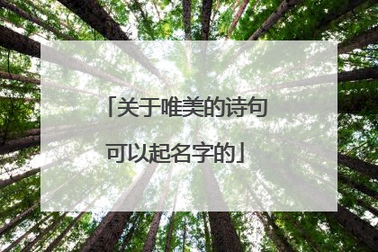 关于唯美的诗句可以起名字的