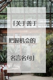 关于善于把握机会的名言名句