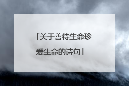关于善待生命珍爱生命的诗句
