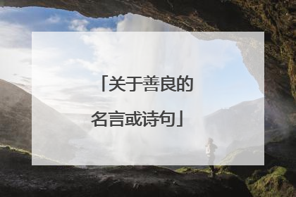 关于善良的名言或诗句