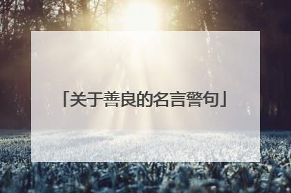 关于善良的名言警句