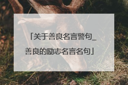 关于善良名言警句_善良的励志名言名句