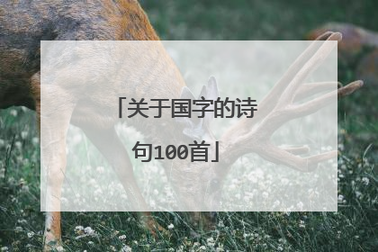 关于国字的诗句100首