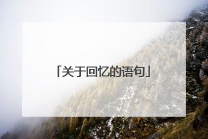 关于回忆的语句