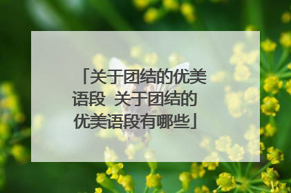 关于团结的优美语段 关于团结的优美语段有哪些