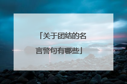 关于团结的名言警句有哪些