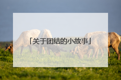 关于团结的小故事