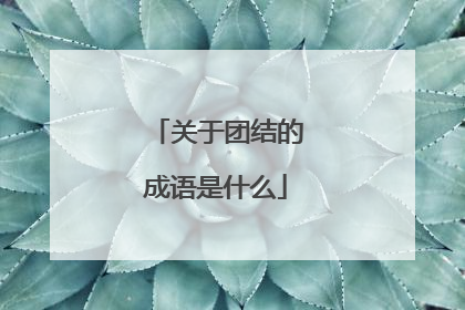 关于团结的成语是什么