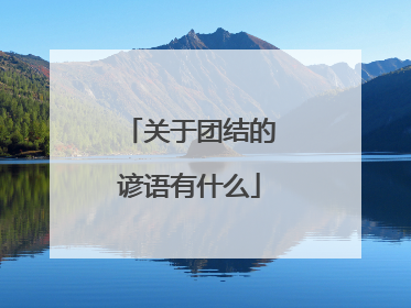 关于团结的谚语有什么