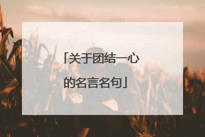 关于团结一心的名言名句