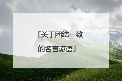 关于团结一致的名言谚语