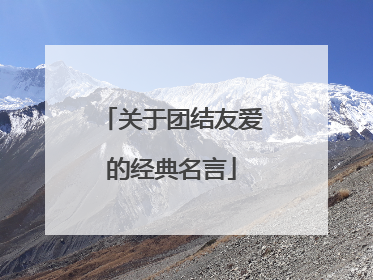 关于团结友爱的经典名言