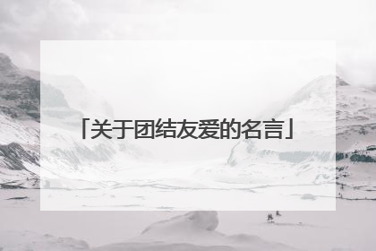 关于团结友爱的名言