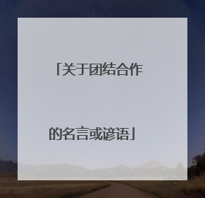 关于团结合作的名言或谚语