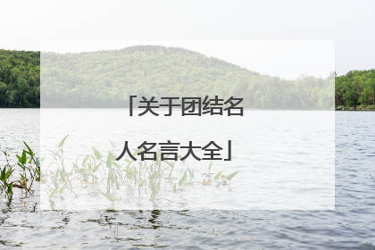关于团结名人名言大全