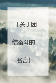 关于团结奋斗的名言