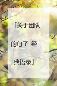 关于团队的句子_经典语录