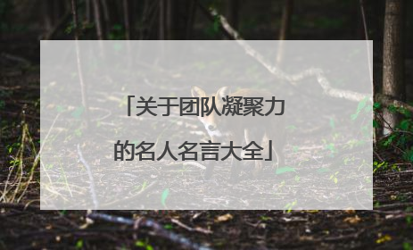 关于团队凝聚力的名人名言大全