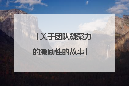 关于团队凝聚力的激励性的故事