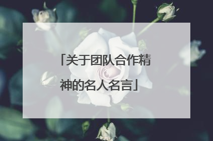 关于团队合作精神的名人名言