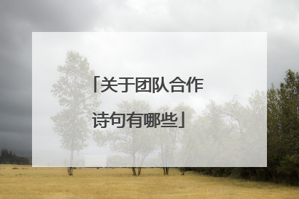 关于团队合作诗句有哪些