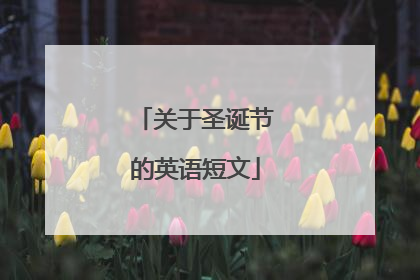 关于圣诞节的英语短文