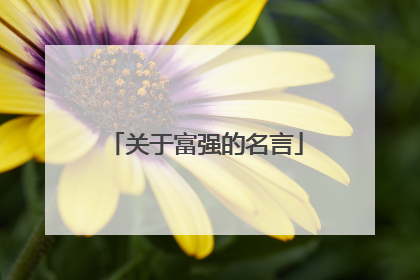 关于富强的名言