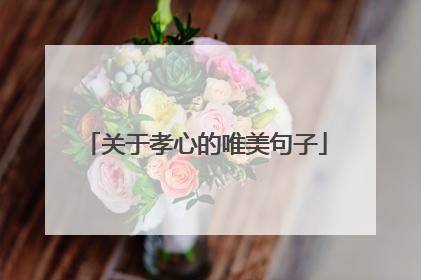 关于孝心的唯美句子