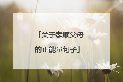 关于孝顺父母的正能量句子