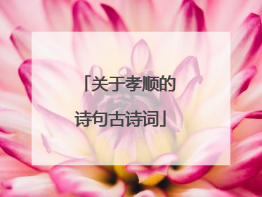 关于孝顺的诗句古诗词