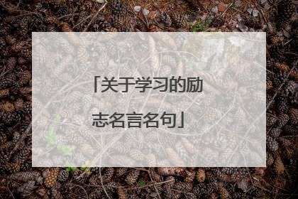 关于学习的励志名言名句
