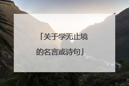 关于学无止境的名言或诗句
