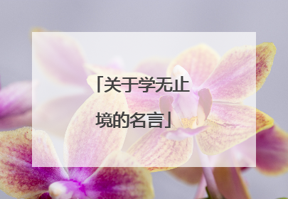 关于学无止境的名言