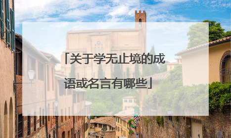关于学无止境的成语或名言有哪些