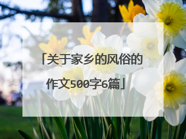 关于家乡的风俗的作文500字6篇