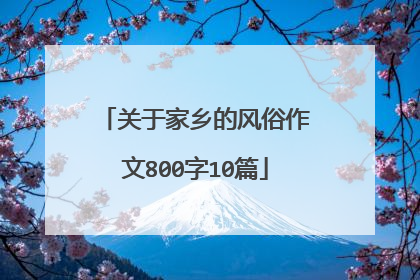 关于家乡的风俗作文800字10篇