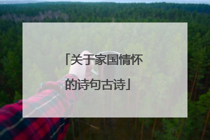 关于家国情怀的诗句古诗