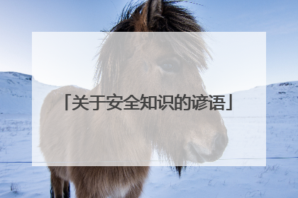 关于安全知识的谚语