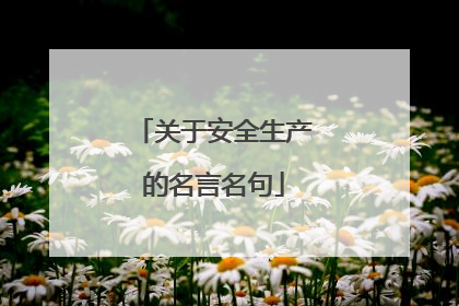 关于安全生产的名言名句