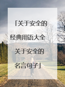 关于安全的经典用语大全 关于安全的名言句子