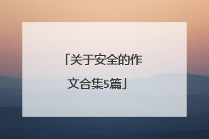 关于安全的作文合集5篇