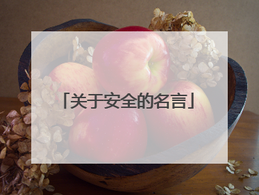 关于安全的名言