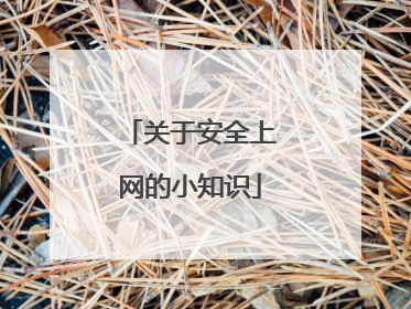 关于安全上网的小知识