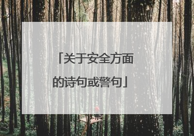 关于安全方面的诗句或警句