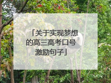 关于实现梦想的高三高考口号激励句子