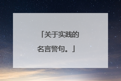 关于实践的名言警句。