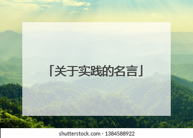 关于实践的名言