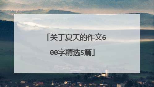 关于夏天的作文600字精选5篇
