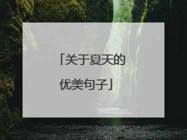 关于夏天的优美句子